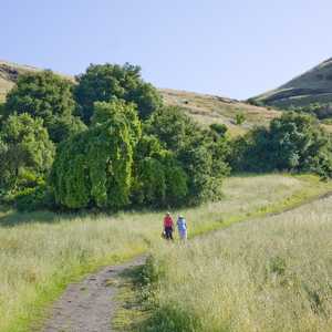 Santa Teresa County Park
