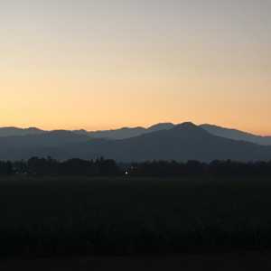 Santa Teresa County Park