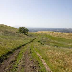 Santa Teresa County Park