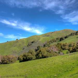 Santa Teresa County Park